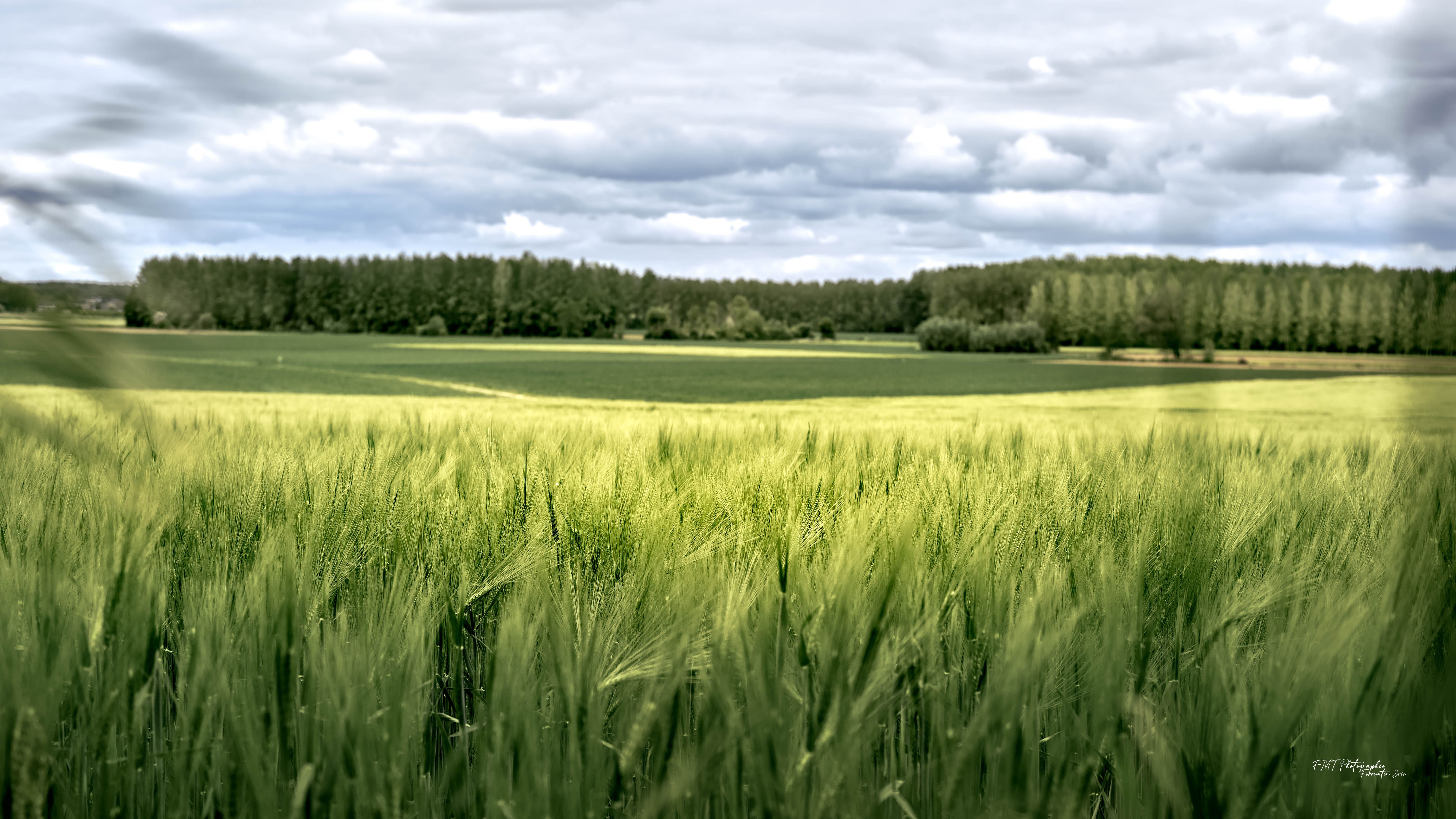 Paysage 1