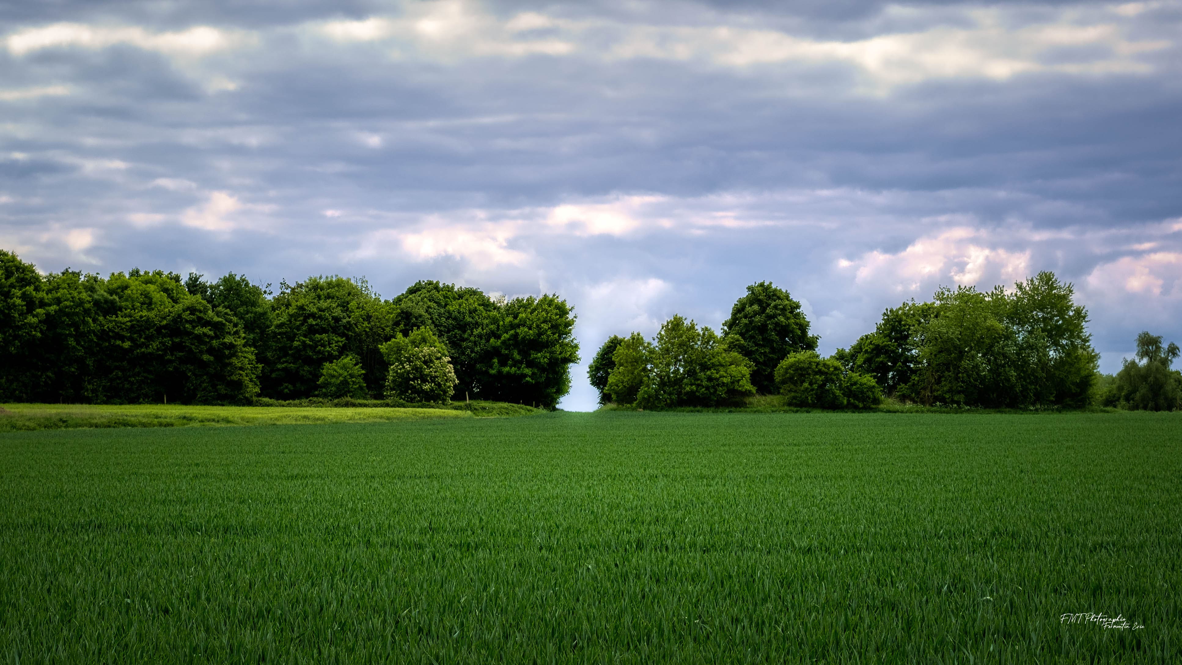 Paysage 1