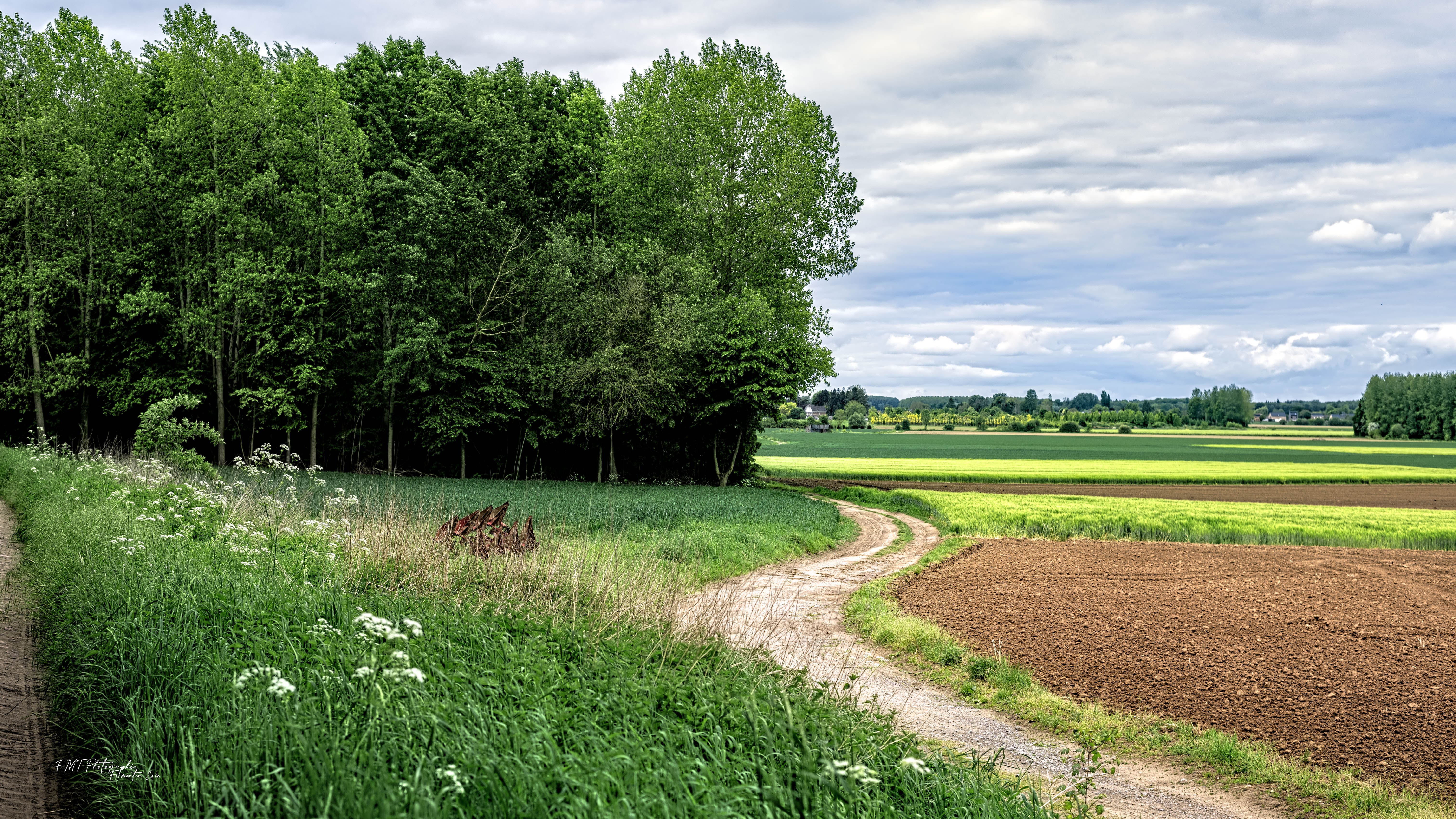Paysage 1