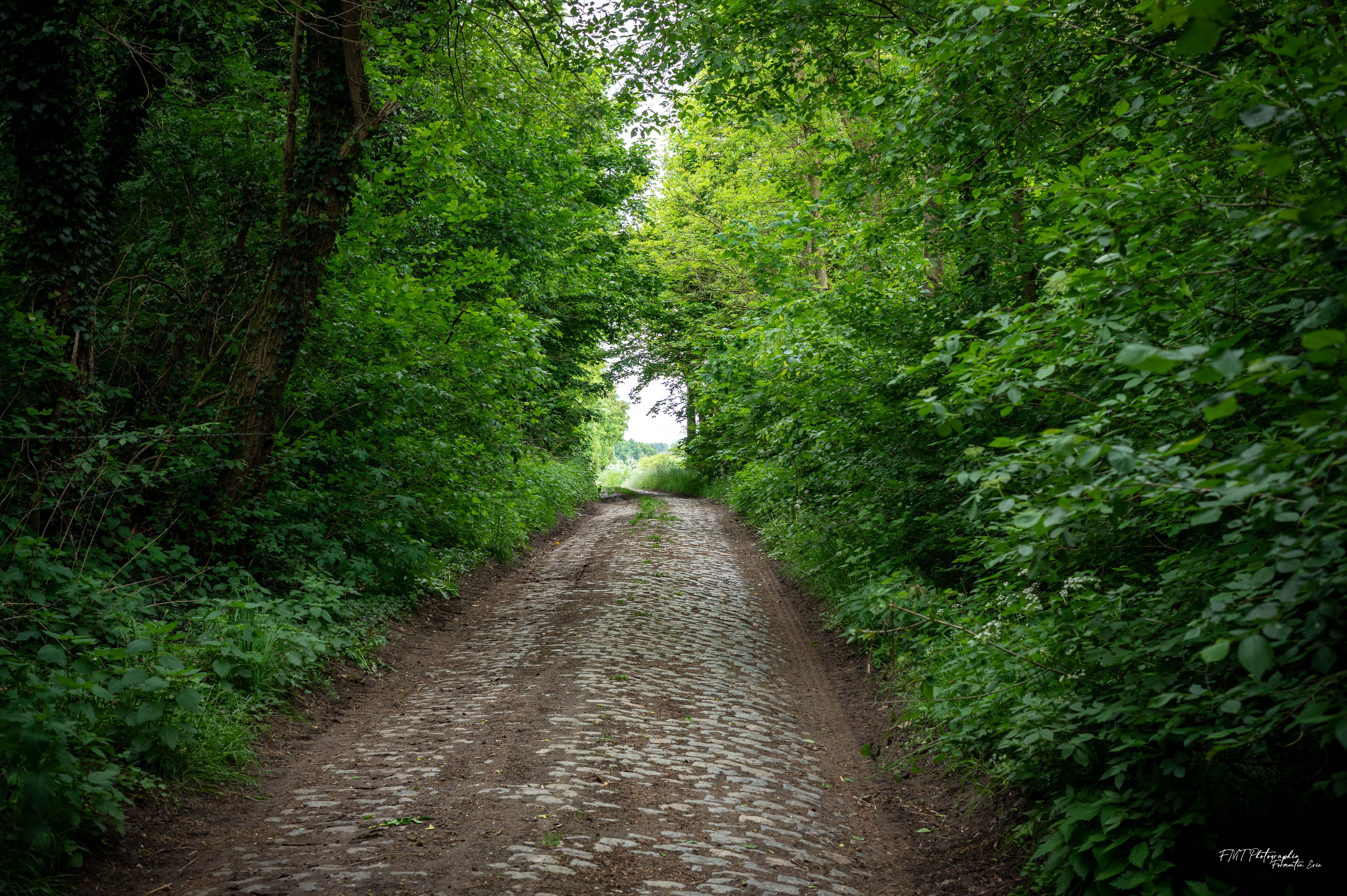 Paysage 1