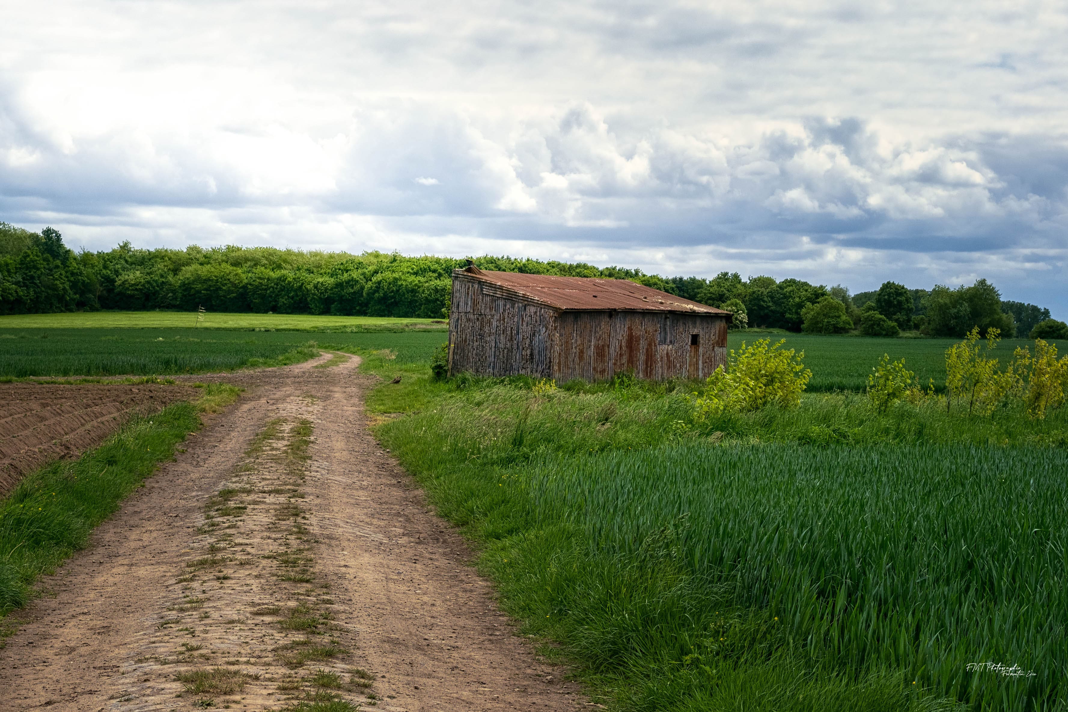 Paysage 1