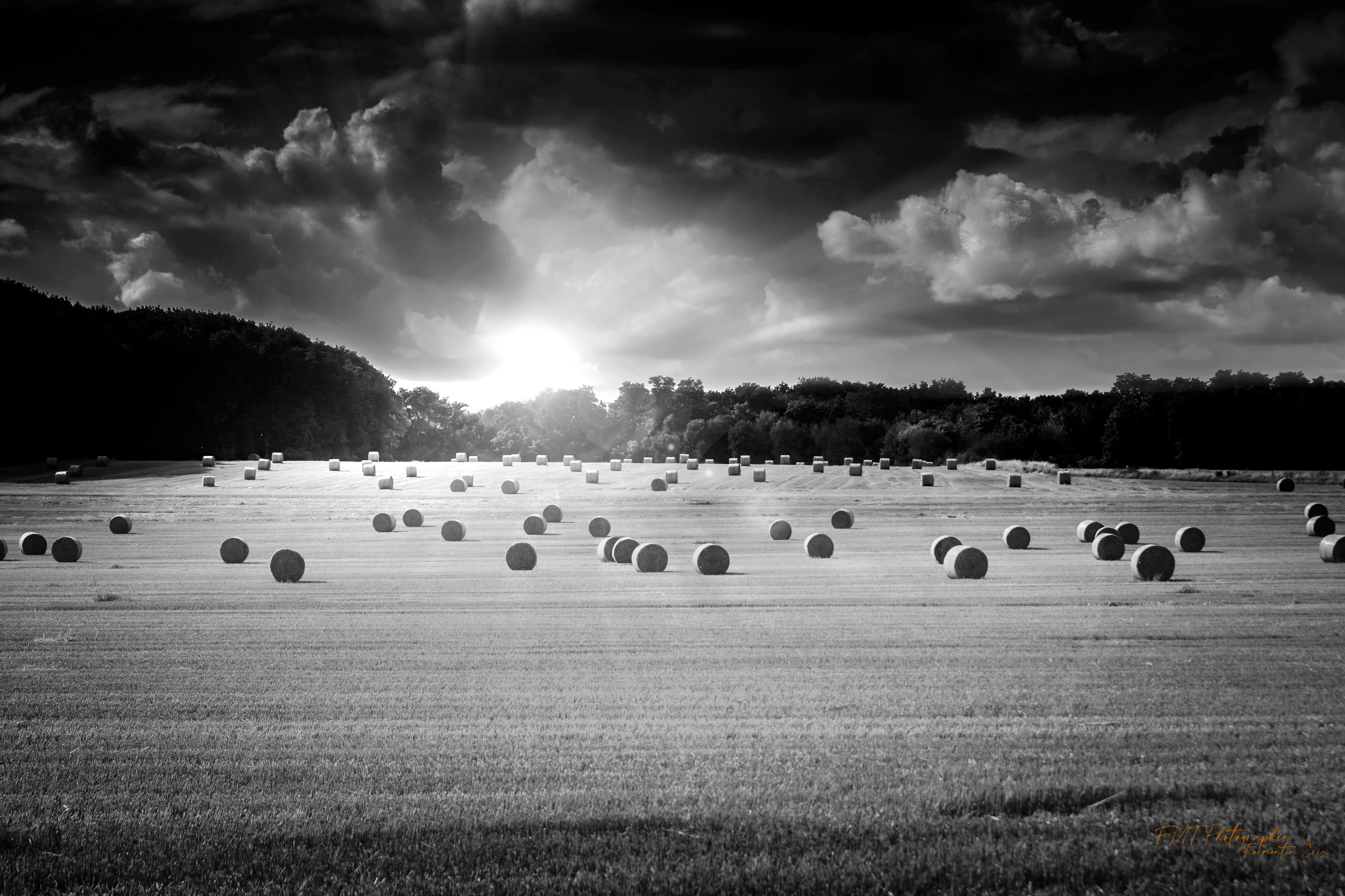 Paysage 1