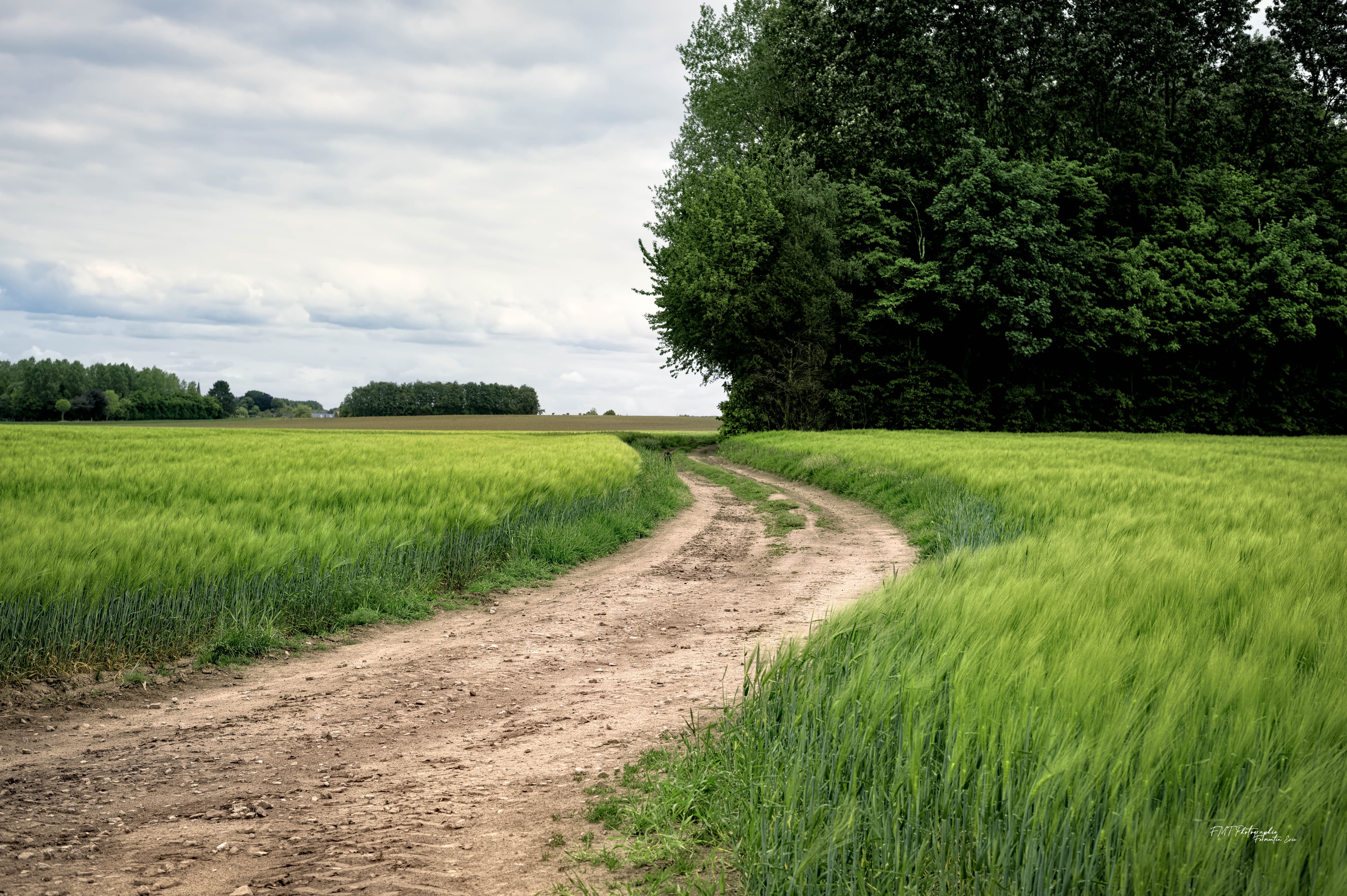 Paysage 1